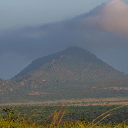 Voi Safari Lodge Esterno foto