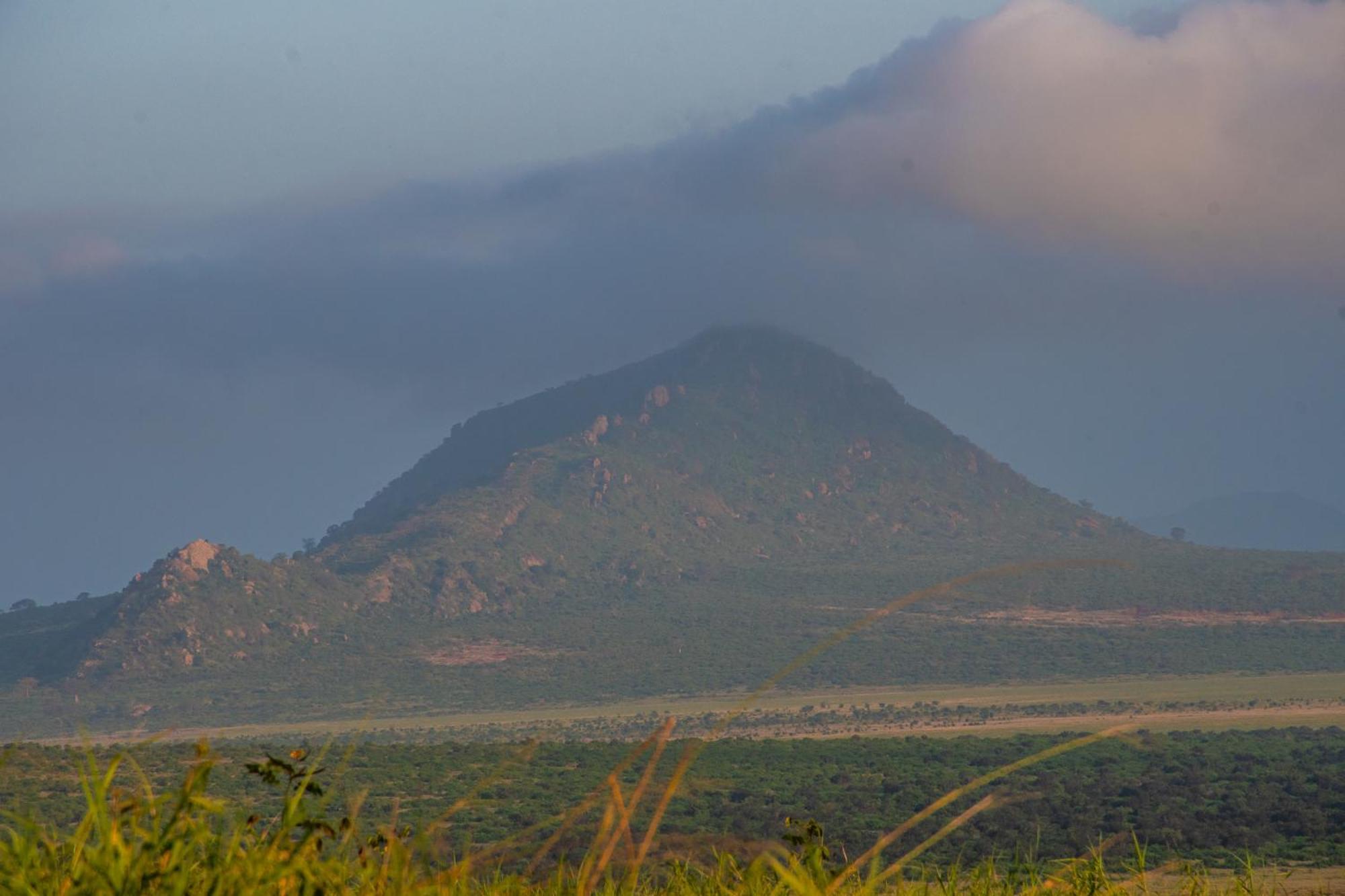 Voi Safari Lodge Esterno foto