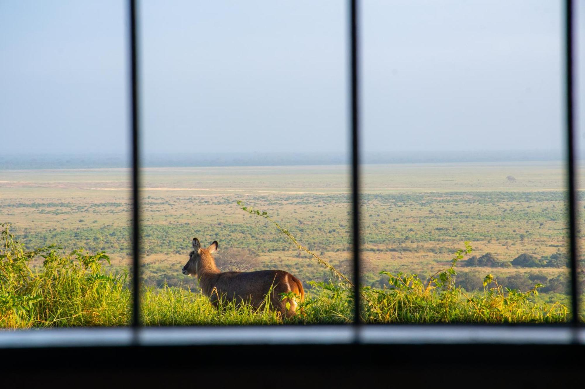 Voi Safari Lodge Esterno foto