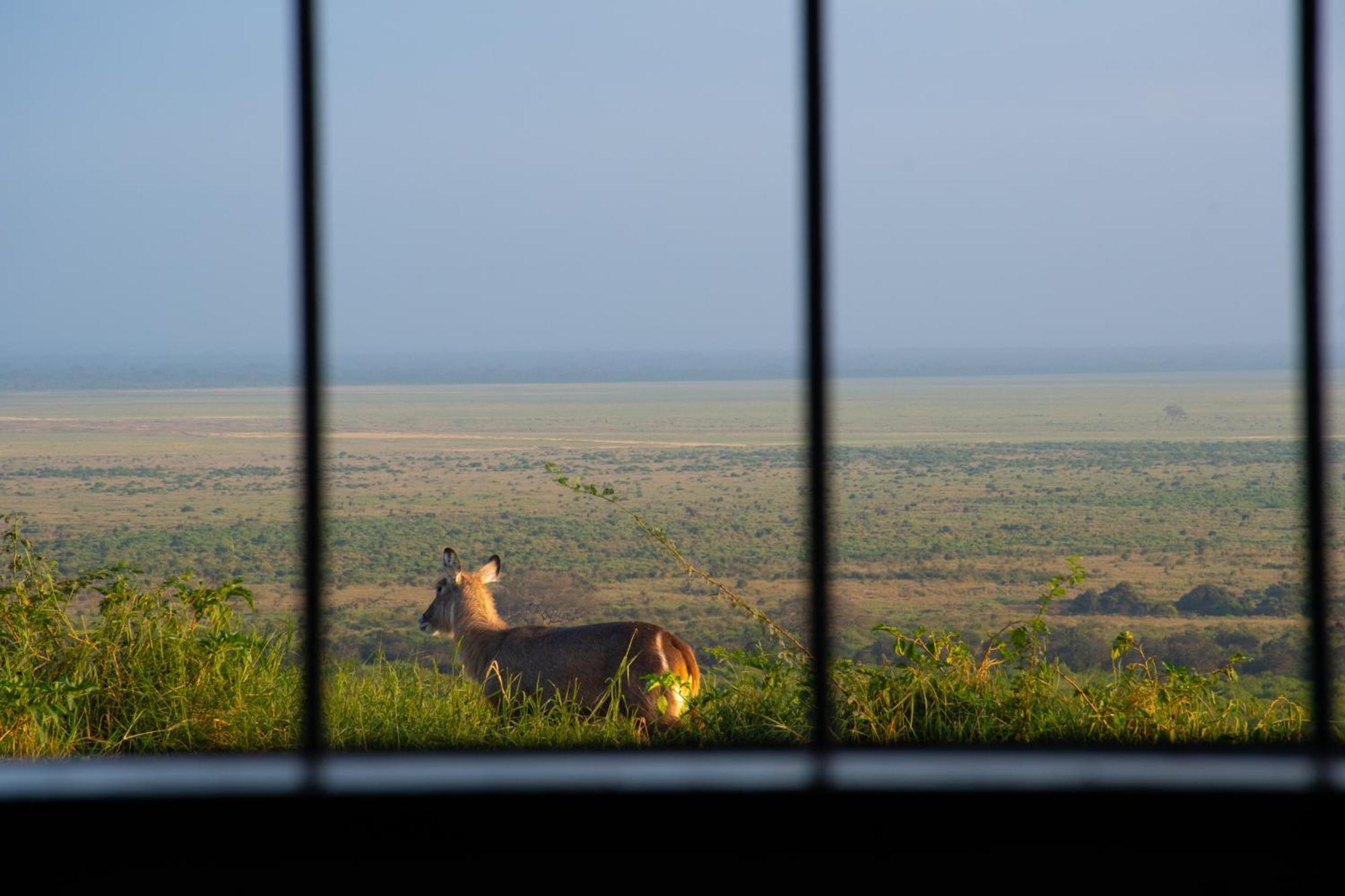 Voi Safari Lodge Esterno foto