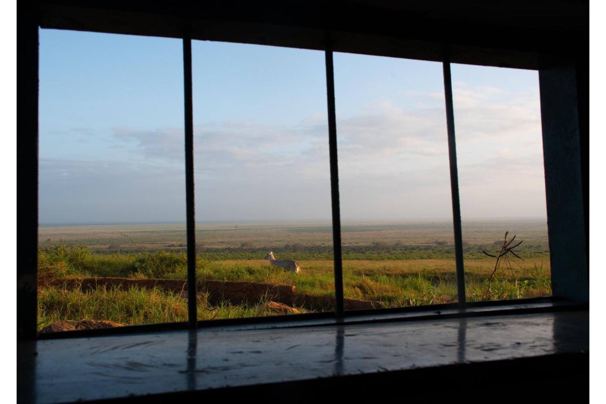 Voi Safari Lodge Esterno foto